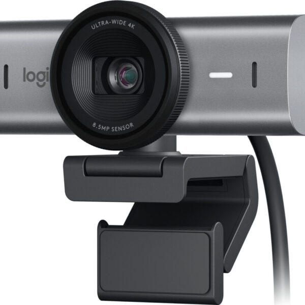 Webcams LOGITECH 960-001548 Gris