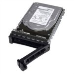 Disco duro DELL 161-BBRX 8 TB
