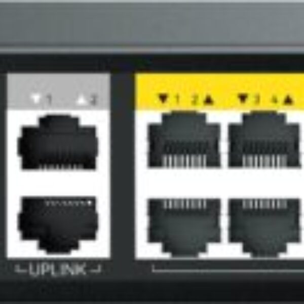 Switches NETIS P124GH 28 Puertos